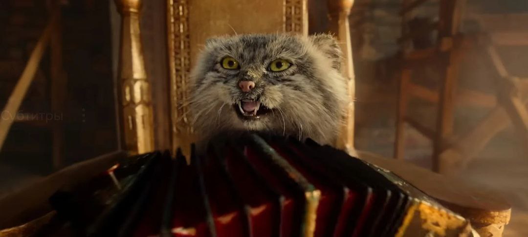 Василевский Николай Николаевич