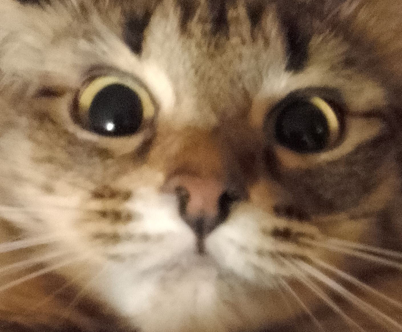 Черемискина София 