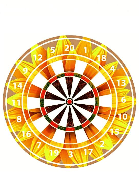 Дудник Татьяна Владимировна