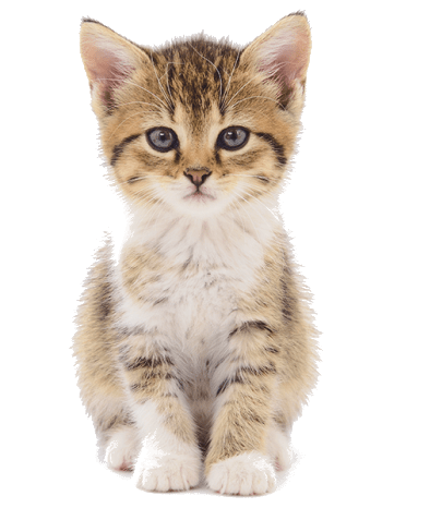 Полосухин Александр Сергеевич